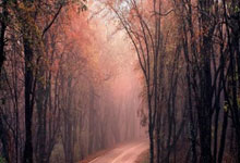 天涯论坛捞金秘籍，教你怎么在社交平台上轻松赚点小钱！