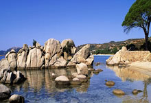 天涯社区情感交友：在线寻情记